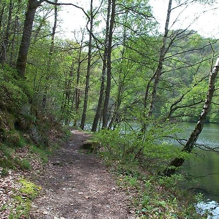 Holiday Home A Pas De Loup La-Roche-en-Ardenne Luaran gambar