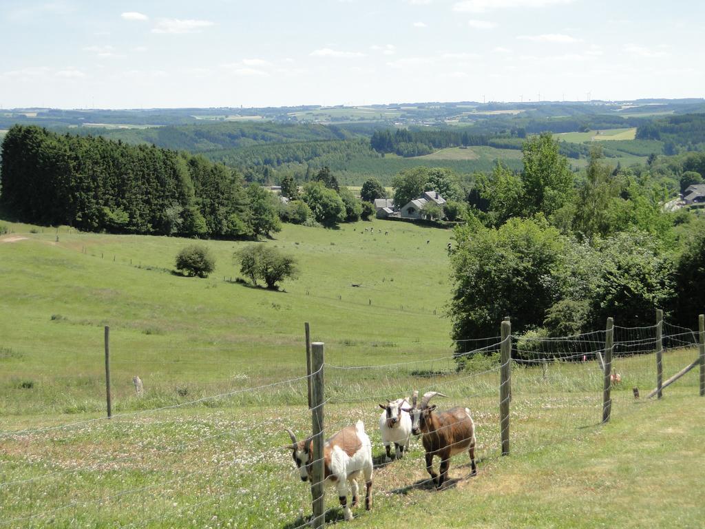 Holiday Home A Pas De Loup La-Roche-en-Ardenne Bilik gambar