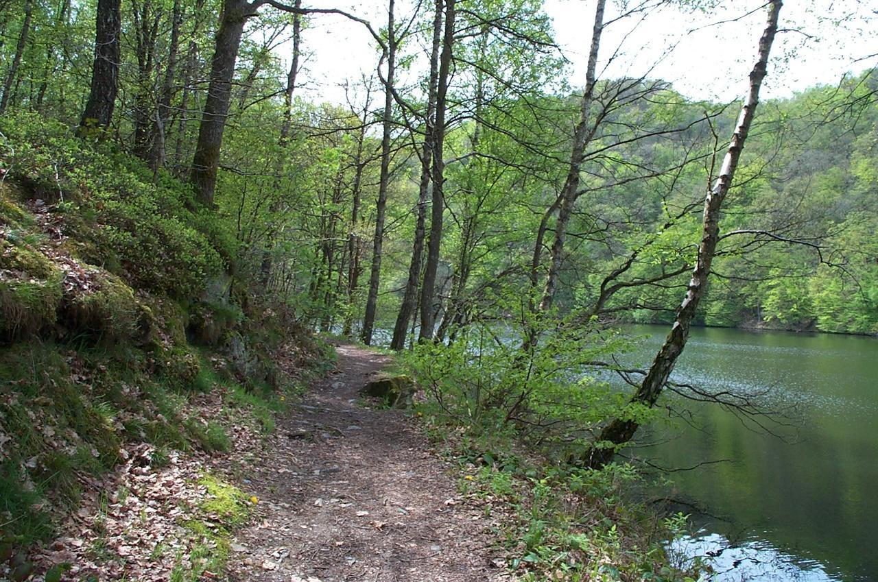 Holiday Home A Pas De Loup La-Roche-en-Ardenne Luaran gambar